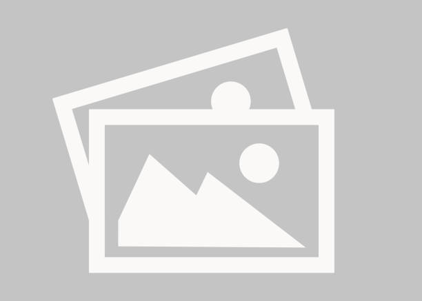 Tela com Cola para Armadilha de Insetos